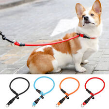 Strong Nylon Slip Dog Leash Adjustable Pet  Puppy Training Collar Adjustable picture