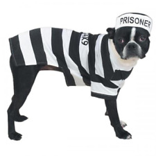 Casual Canine Prison Pooch Costume picture