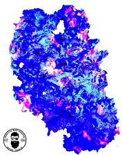 Pink UV ARK Reef Rock DRY Aragonite Base, Porous Aquariums Live GLOWS UNDER BLUE picture