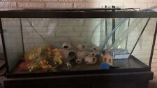 75 gallon aquarium fish tank with decorative rocks, plants, and live driftwood.  picture