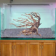 Bonsai driftwood aquarium plants aquascape wood fish tank decorations freshwater picture