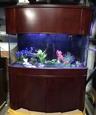 WARRANTY INCLUDED 170 gallon GLASS bow front aquarium fish tank in cherry wood picture