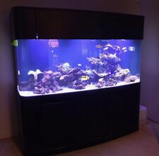 WARRANTY INCLUDED 300 gallon GLASS bow front aquarium fish tank set picture