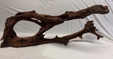 Realistic pterodactyl skull shaped driftwood 32
