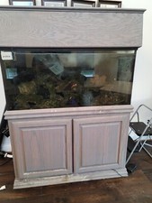 Aquarium 75'80'100 gallon and Stand complete picture