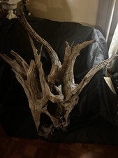 Extra Large Gorgeous Alabama Fabulous Piece Of Driftwood picture