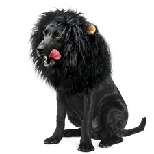 Onmygogo Lion Mane Wig for Dogs with Ears, Funny Pet Costumes for Halloween Chri picture