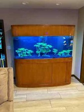 MONSTER 380 Gallon Glass Bowfront Reef Ready Aquarium Fish Tank Stand Canopy picture