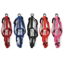 Dog Adjustable Nylon Harness Bulk Packs Medium Sized Dogs Assorted Color 1