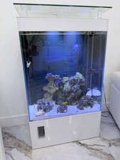 Marine Glass Aquarium Rectangle Tank with Stand, Live Rock, Sand, Filtration picture