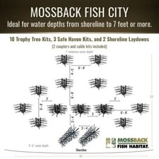 MossBack - Fish City picture