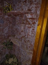 Wooden Reptile Terrarium Vivarium Enclosure Glass Front Faux Rock Background picture
