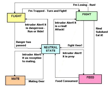 Cat Fight or Flight Diagram