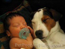 Baby and Puppy Sleeping
