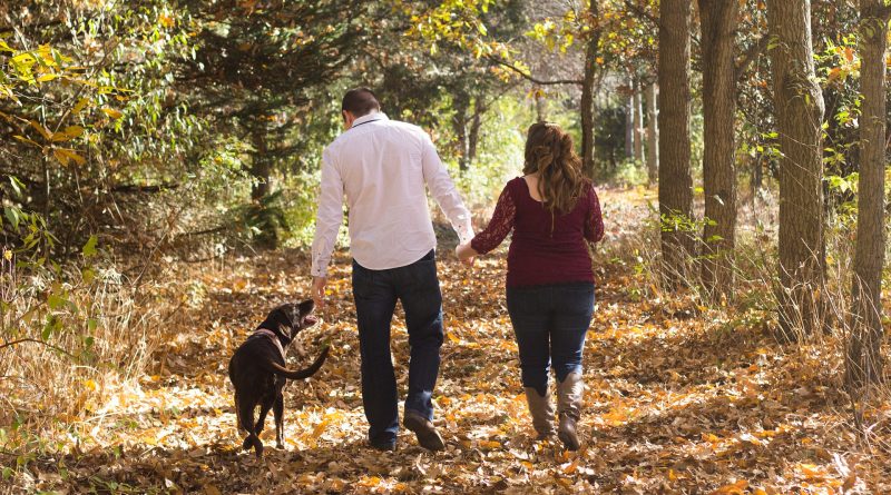 5 Tips for a Safe and Happy Autumn with Your Pets