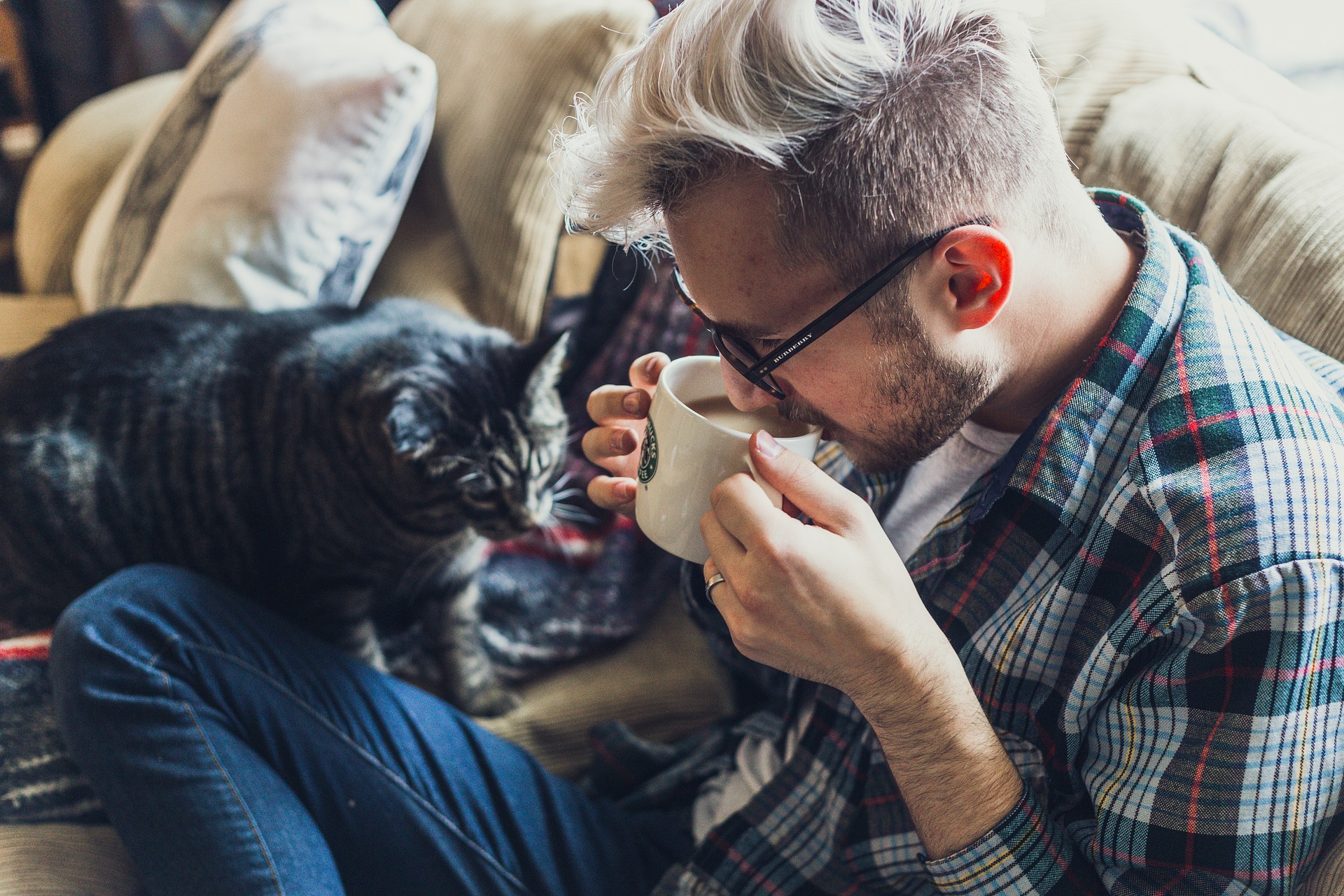 Three Simple Steps for Correcting Your Cat's Bad Behavior