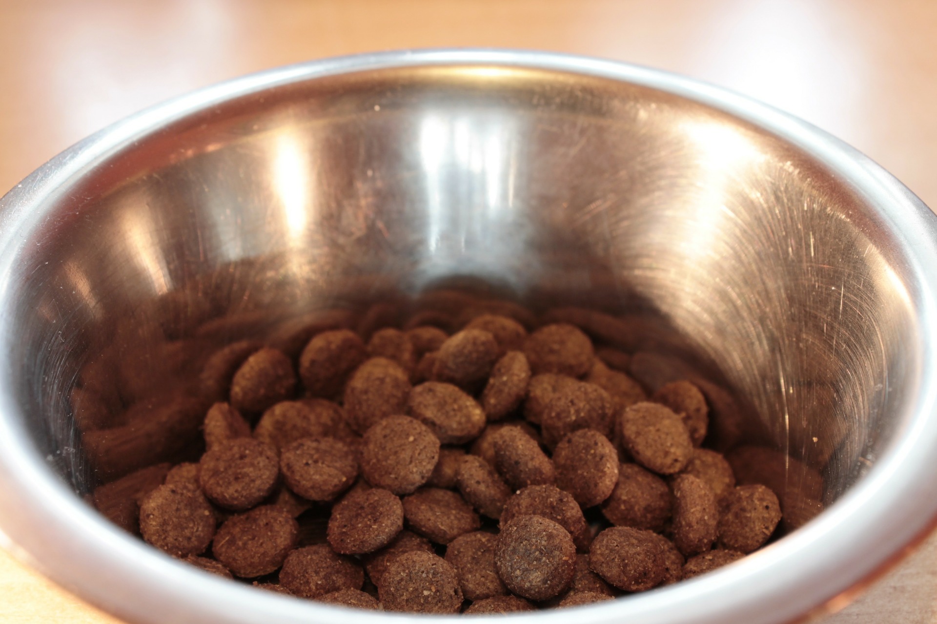 Pentobarbital and Beef Tallow: Is Your Pet’s Food Safe?