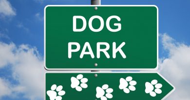 How to Keep Your Dog Safe at the Dog Park