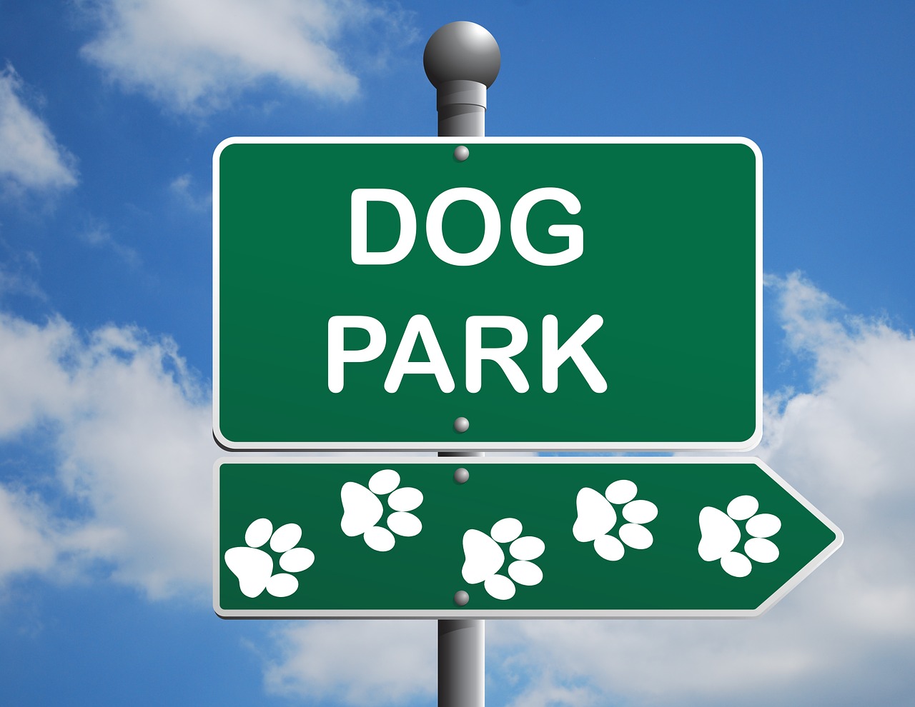 How to Keep Your Dog Safe at the Dog Park